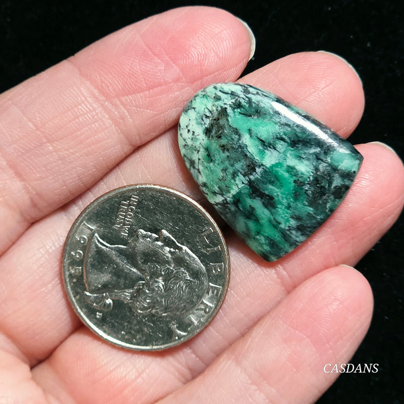 Black Bridge Variscite Cabochon