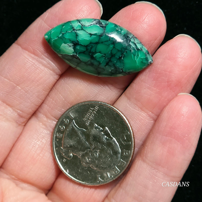 Black Bridge Variscite Cabochon