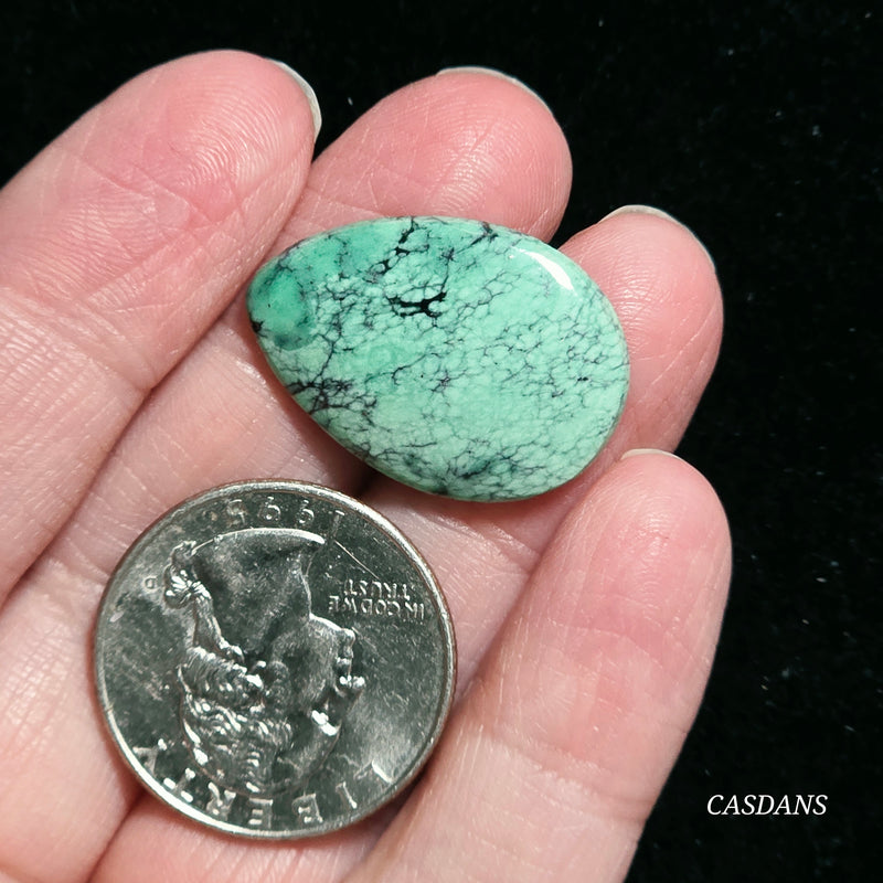 Black Bridge Variscite Cabochon