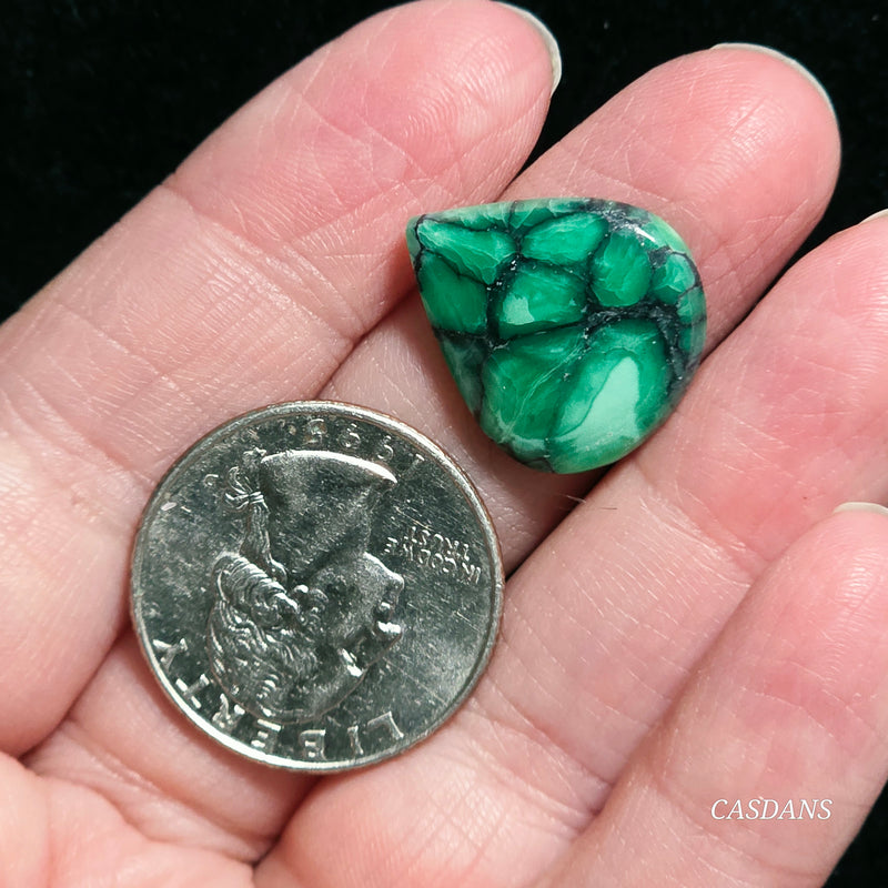 Black Bridge Variscite Cabochon