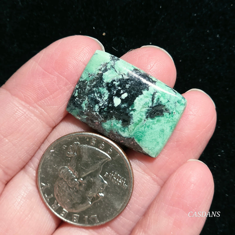 Black Bridge Variscite Cabochon