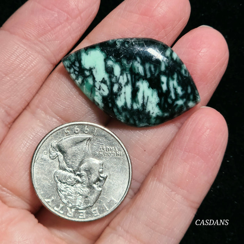 Black Bridge Variscite Cabochon