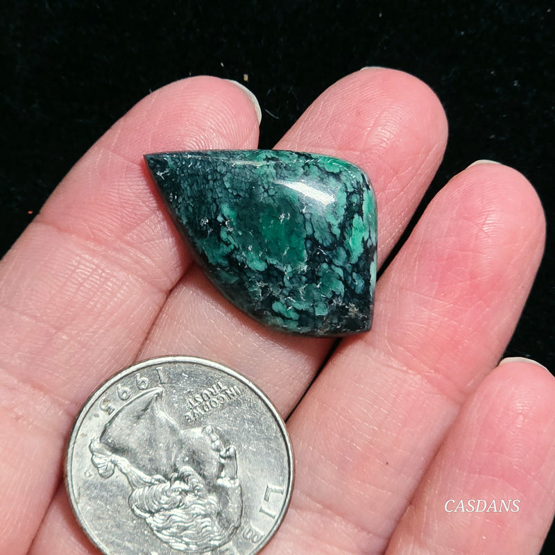 Black Bridge Variscite Cabochon