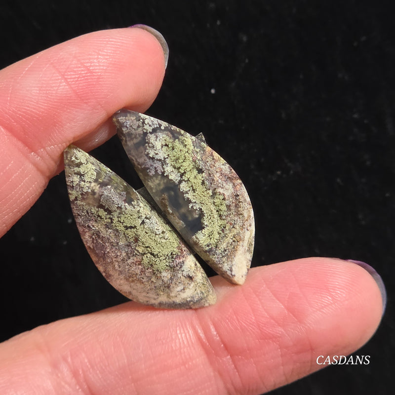Scenic Moss Agate Cabochon Pair