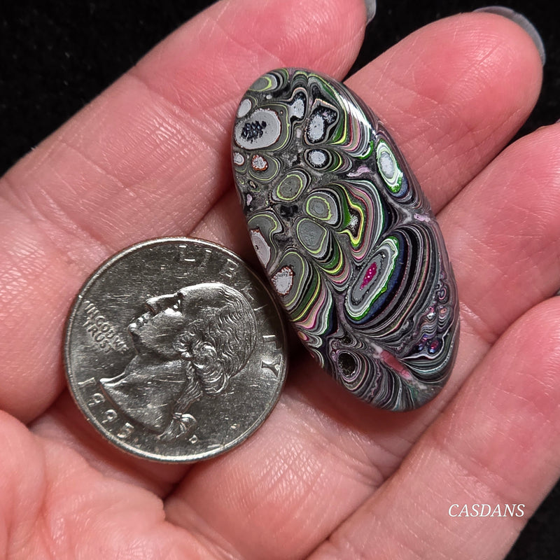 Fordite Cabochon