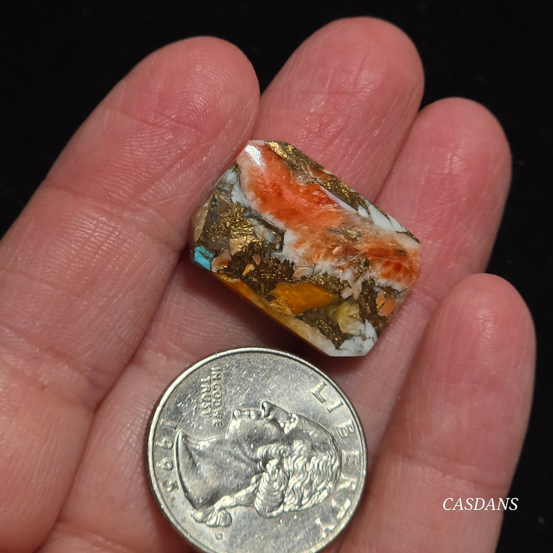 Spiny Oyster and Kingman Turquoise Composite Cabochon