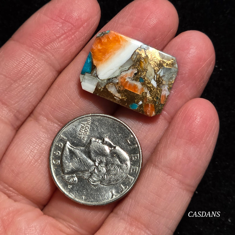 Spiny Oyster and Kingman Turquoise Composite Cabochon