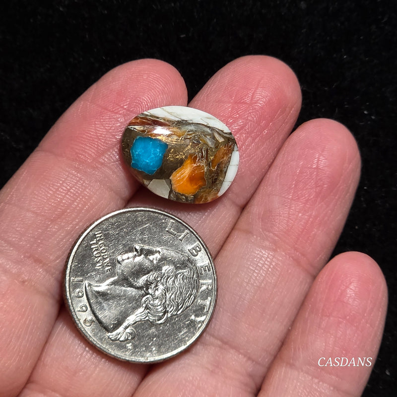 Spiny Oyster and Kingman Turquoise Composite Cabochon