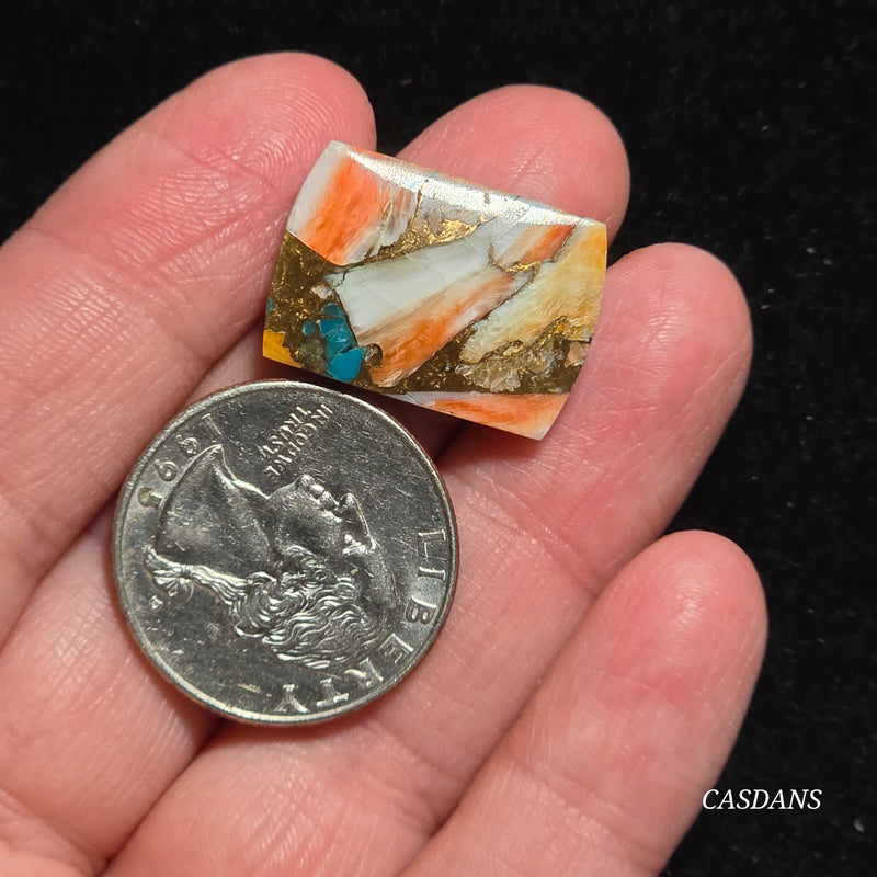 Spiny Oyster and Kingman Turquoise Composite Cabochon