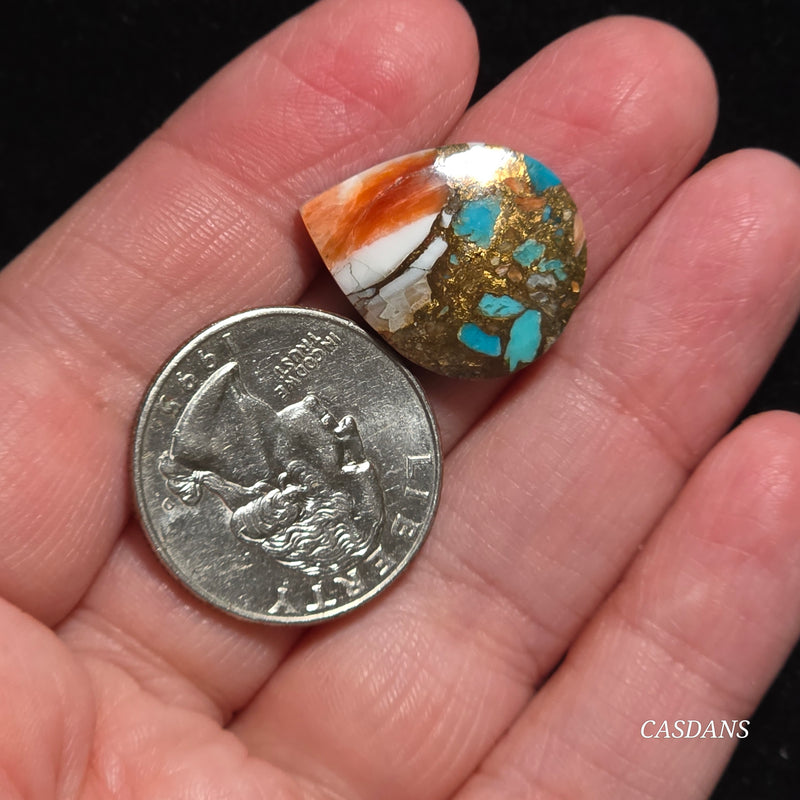 Spiny Oyster and Kingman Turquoise Composite Cabochon