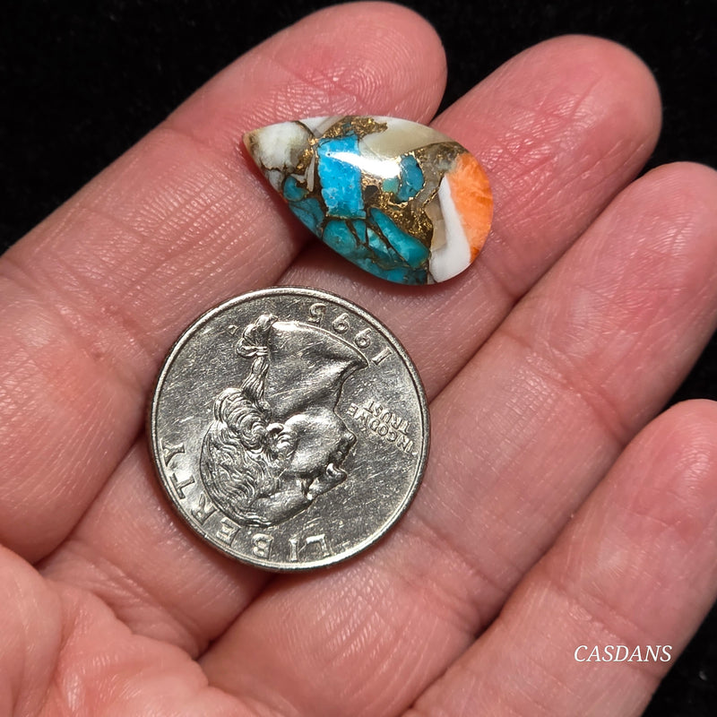 Spiny Oyster and Kingman Turquoise Composite Cabochon