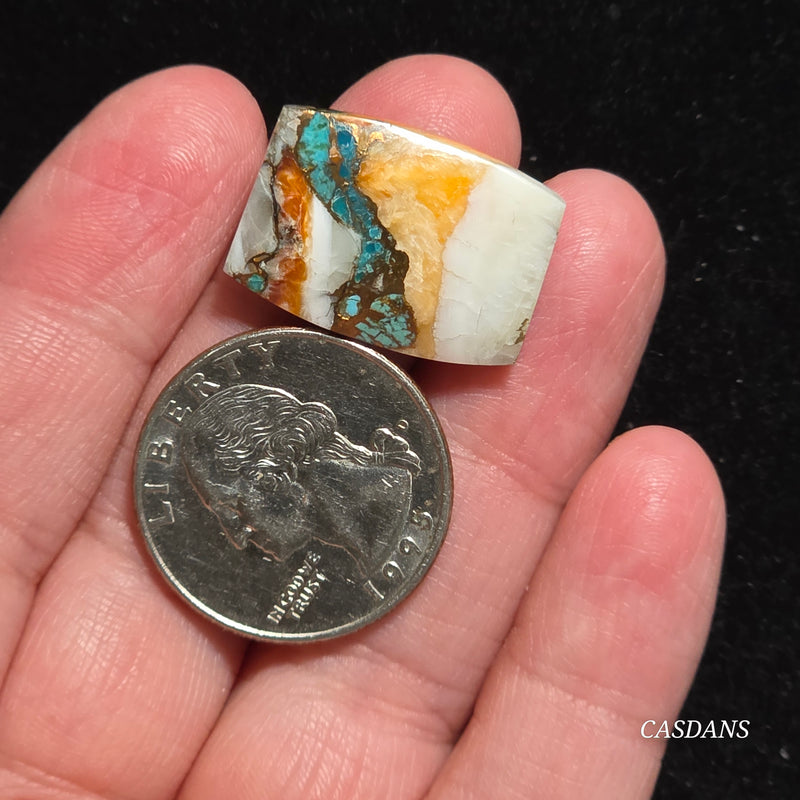 Spiny Oyster and Kingman Turquoise Composite Cabochon