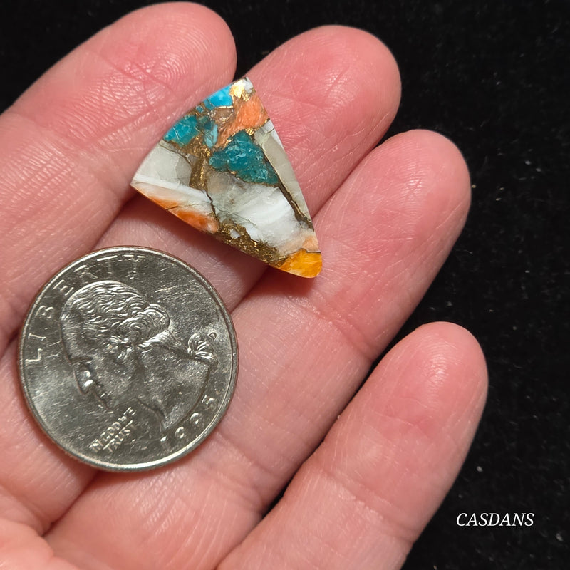 Spiny Oyster and Kingman Turquoise Composite Cabochon