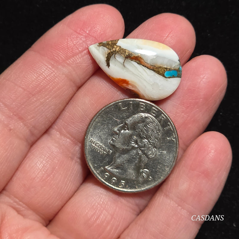 Spiny Oyster and Kingman Turquoise Composite Cabochon