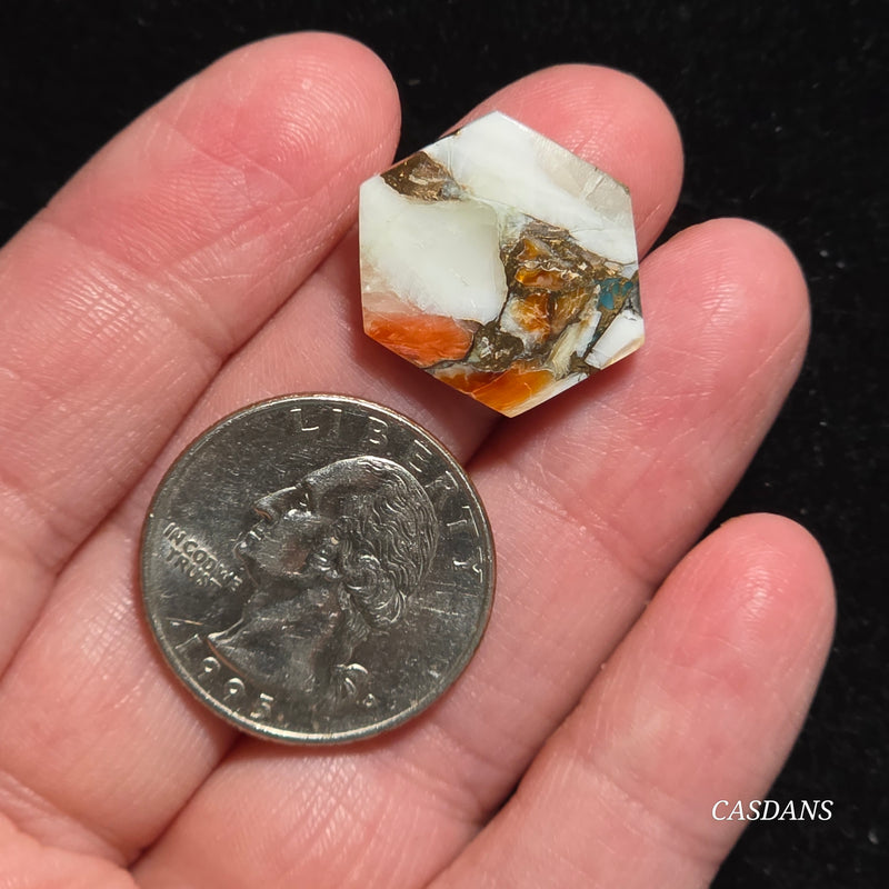 Spiny Oyster and Kingman Turquoise Composite Cabochon
