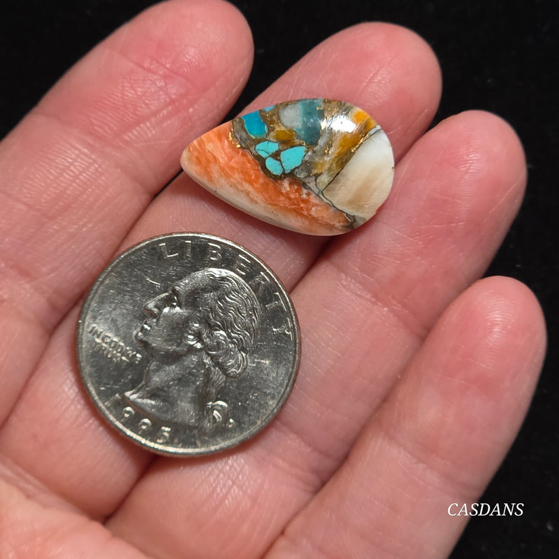 Spiny Oyster and Kingman Turquoise Composite Cabochon