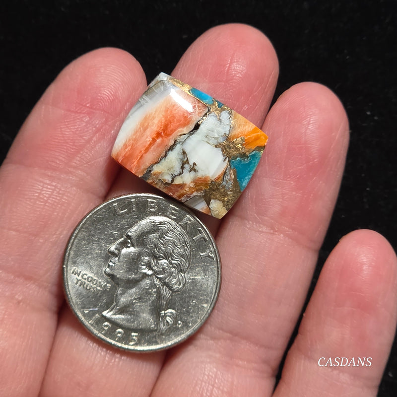 Spiny Oyster and Kingman Turquoise Composite Cabochon