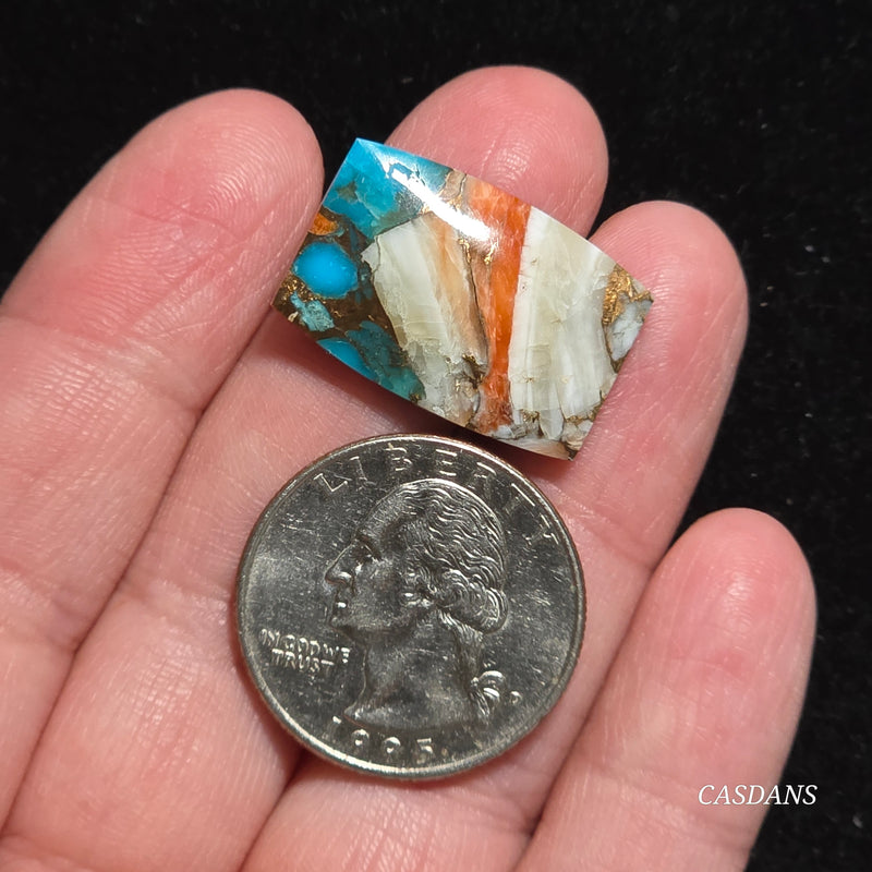 Spiny Oyster and Kingman Turquoise Composite Cabochon