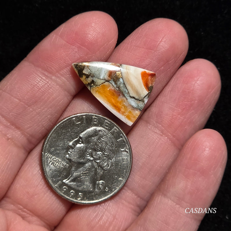 Spiny Oyster and Kingman Turquoise Composite Cabochon