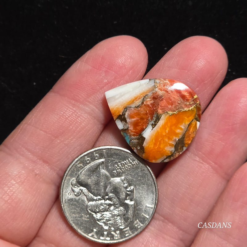 Spiny Oyster and Kingman Turquoise Composite Cabochon
