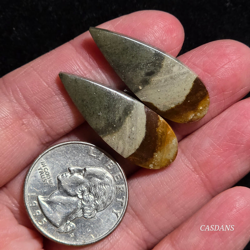 Polychrome Jasper Cabochon Pair