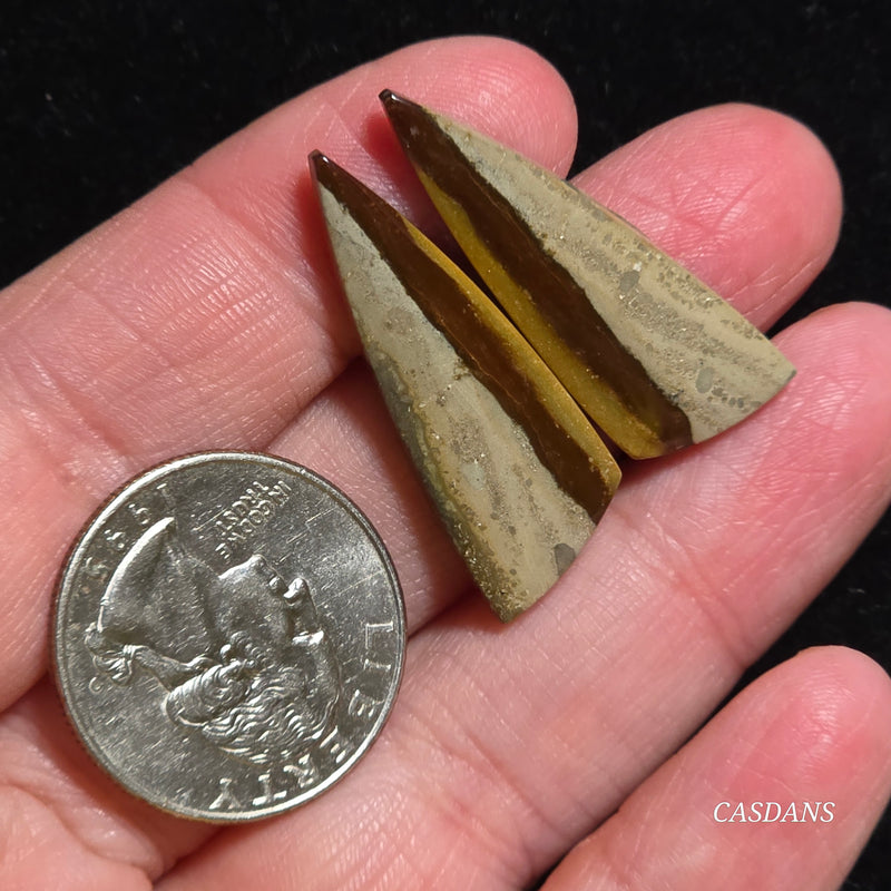 Polychrome Jasper Cabochon Pair