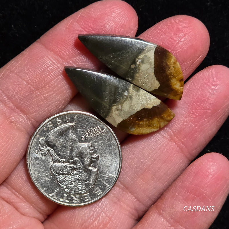 Polychrome Jasper Cabochon Pair