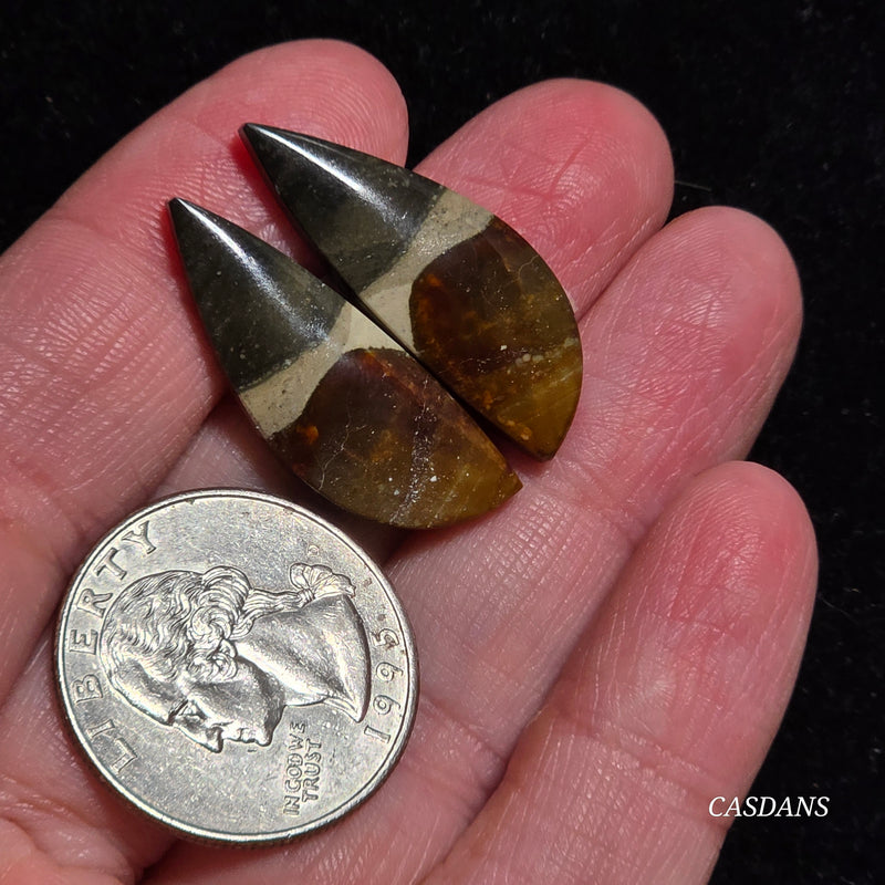 Polychrome Jasper Cabochon Pair