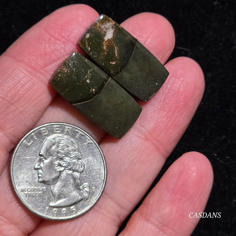 Polychrome Jasper Cabochon Pair