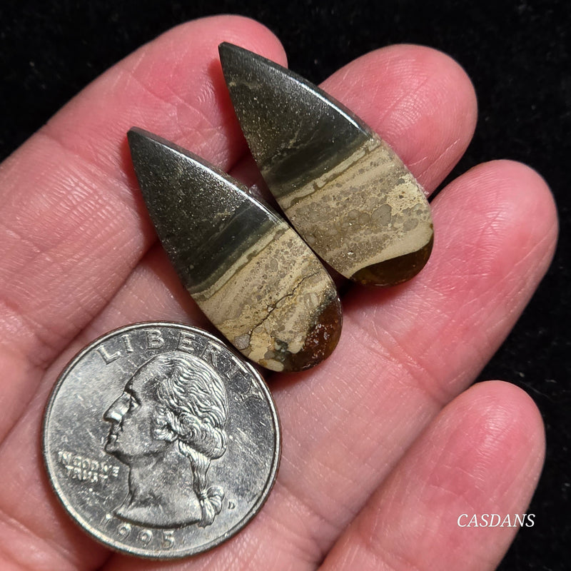 Polychrome Jasper Cabochon Pair
