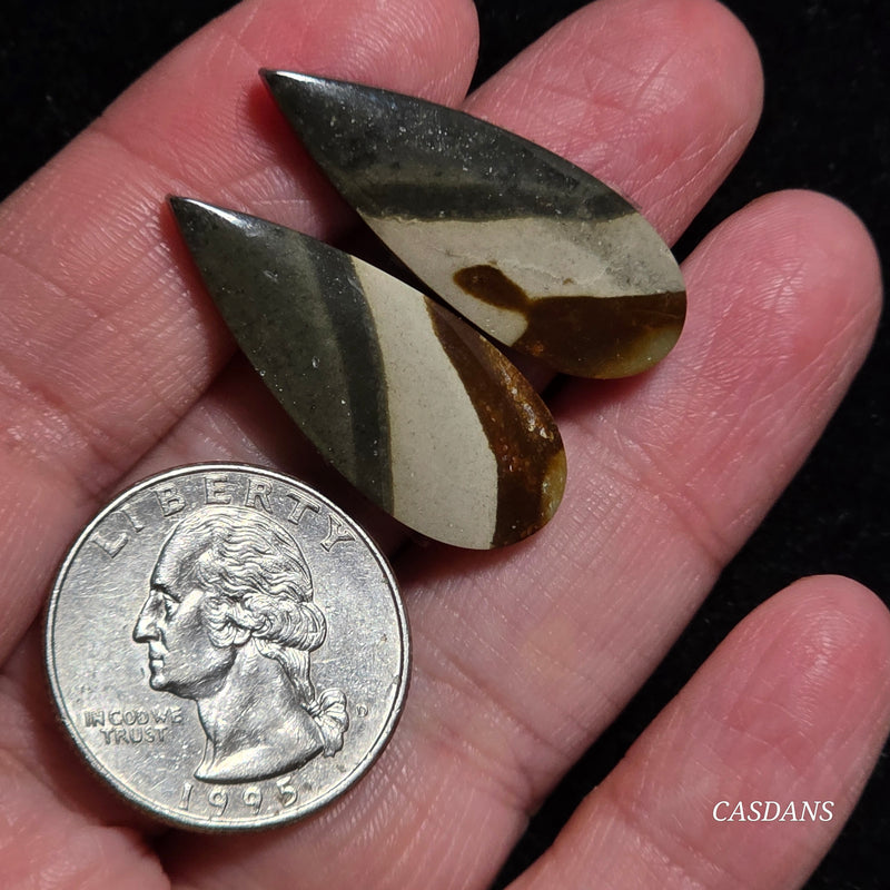 Polychrome Jasper Cabochon Pair