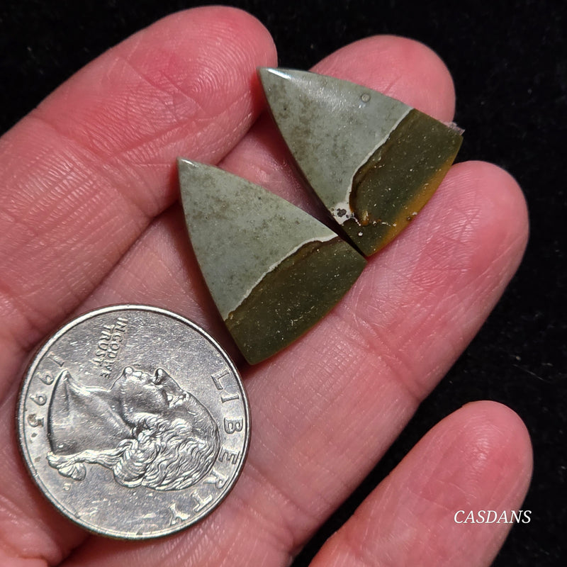 Polychrome Jasper Cabochon Pair