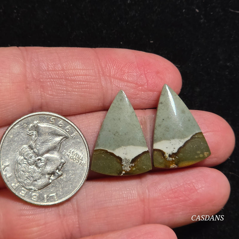 Polychrome Jasper Cabochon Pair