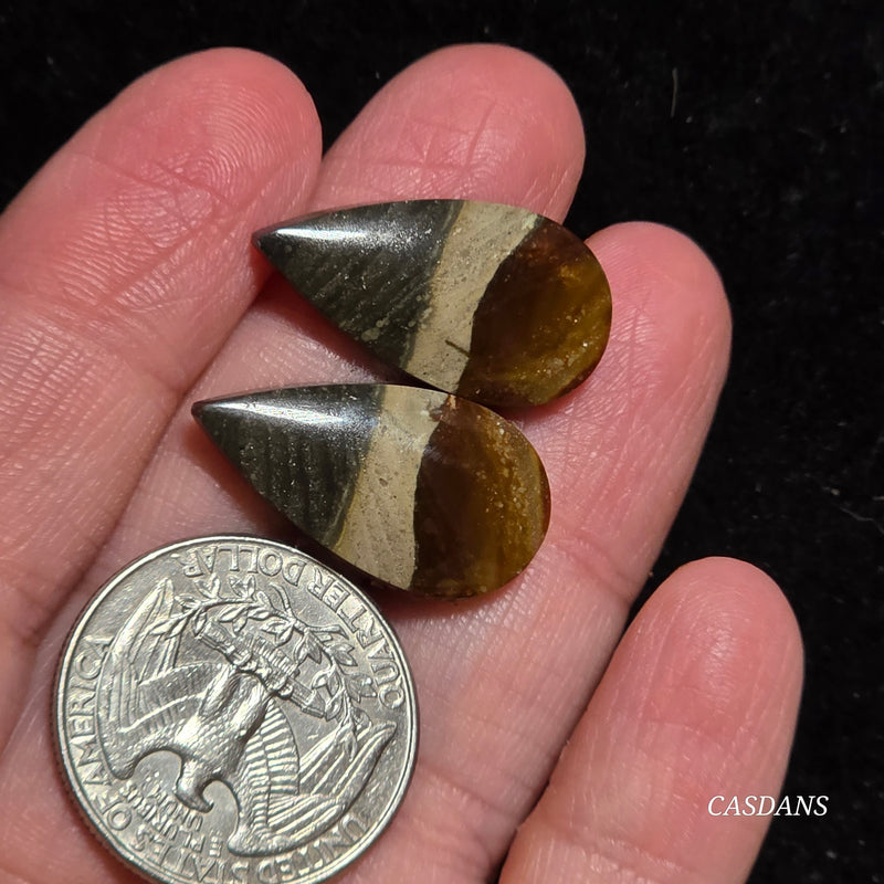 Polychrome Jasper Cabochon Pair