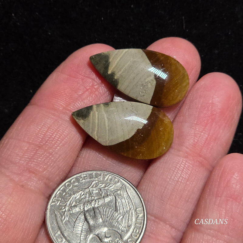 Polychrome Jasper Cabochon Pair