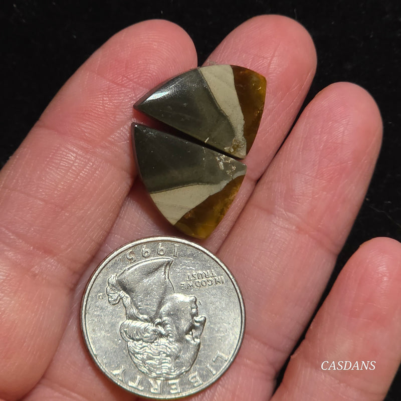 Polychrome Jasper Cabochon Pair