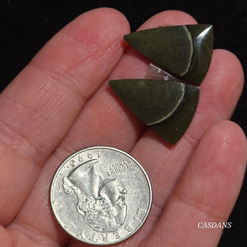 Polychrome Jasper Cabochon Pair