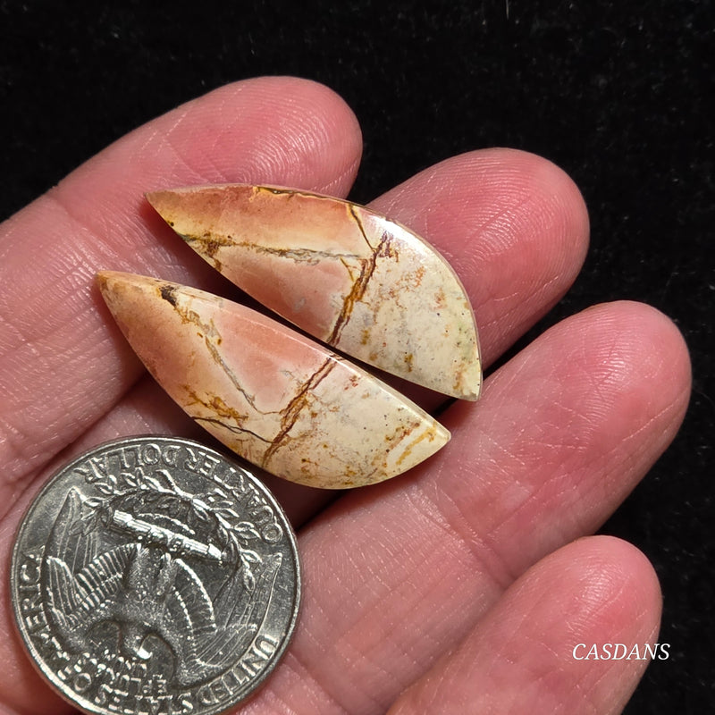 Picasso Jasper Cabochon Pair