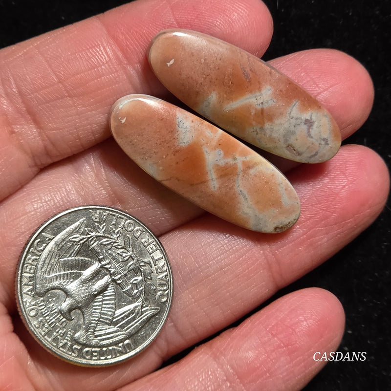 Picasso Jasper Cabochon Pair