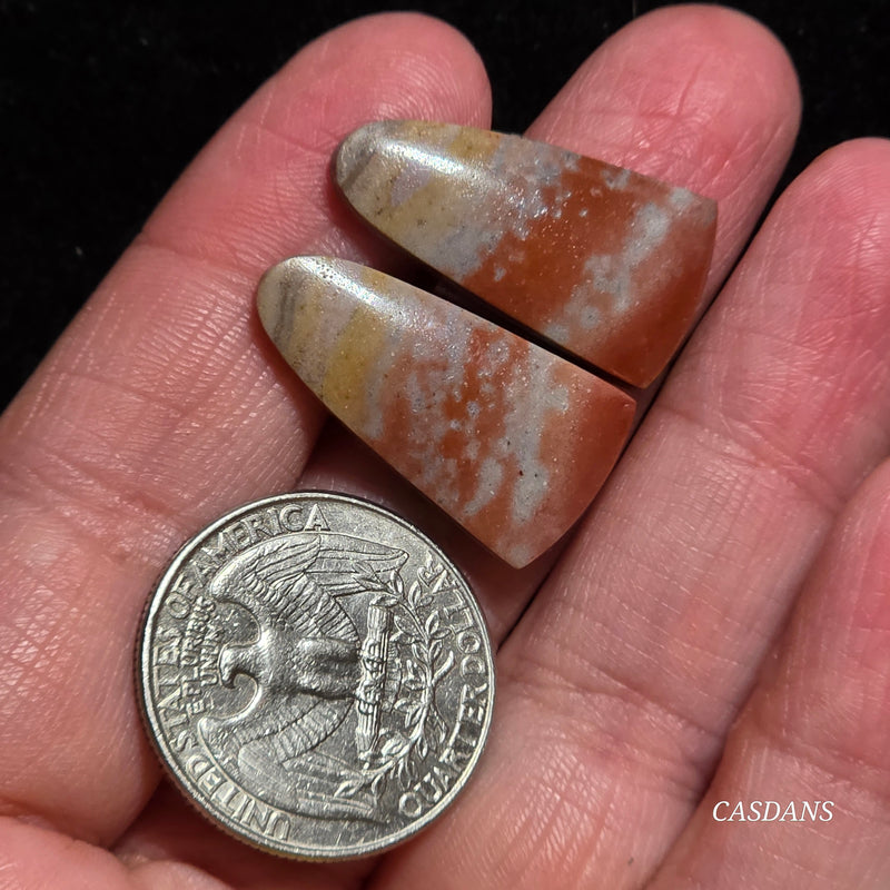 Picasso Jasper Cabochon Pair
