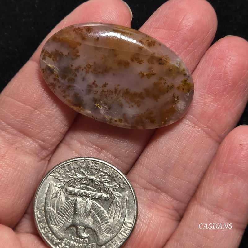Russian Scenic Dendritic Agate Cabochon