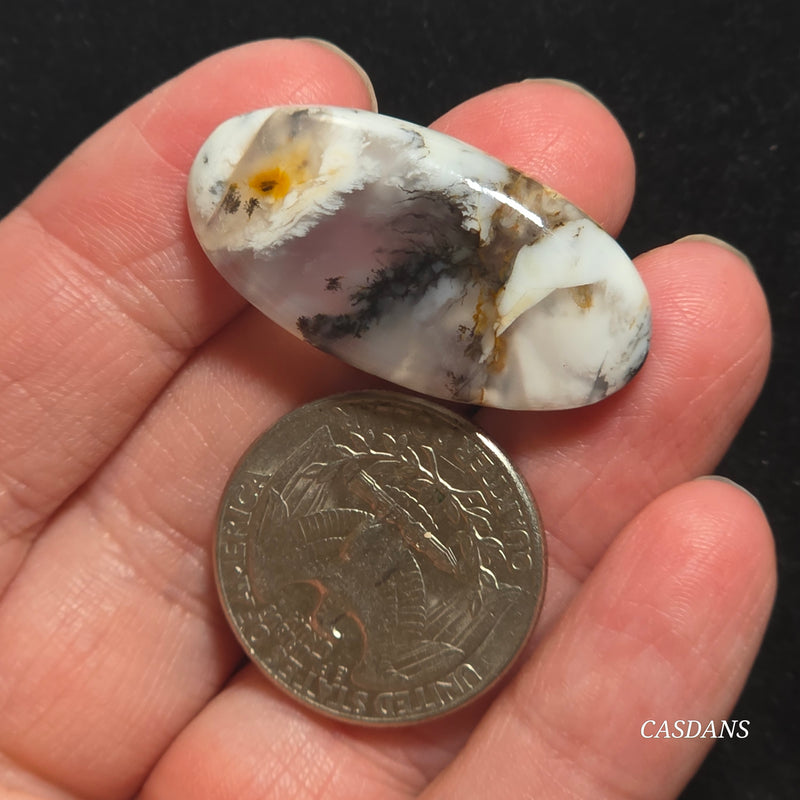 Russian Scenic Dendritic Agate Cabochon