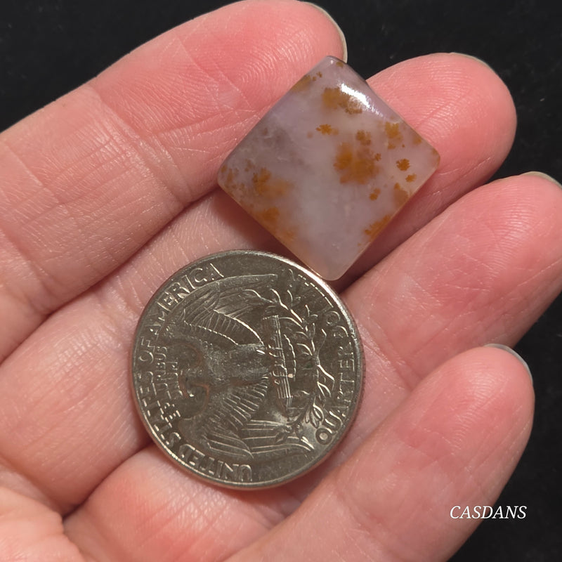 Russian Scenic Dendritic Agate Cabochon