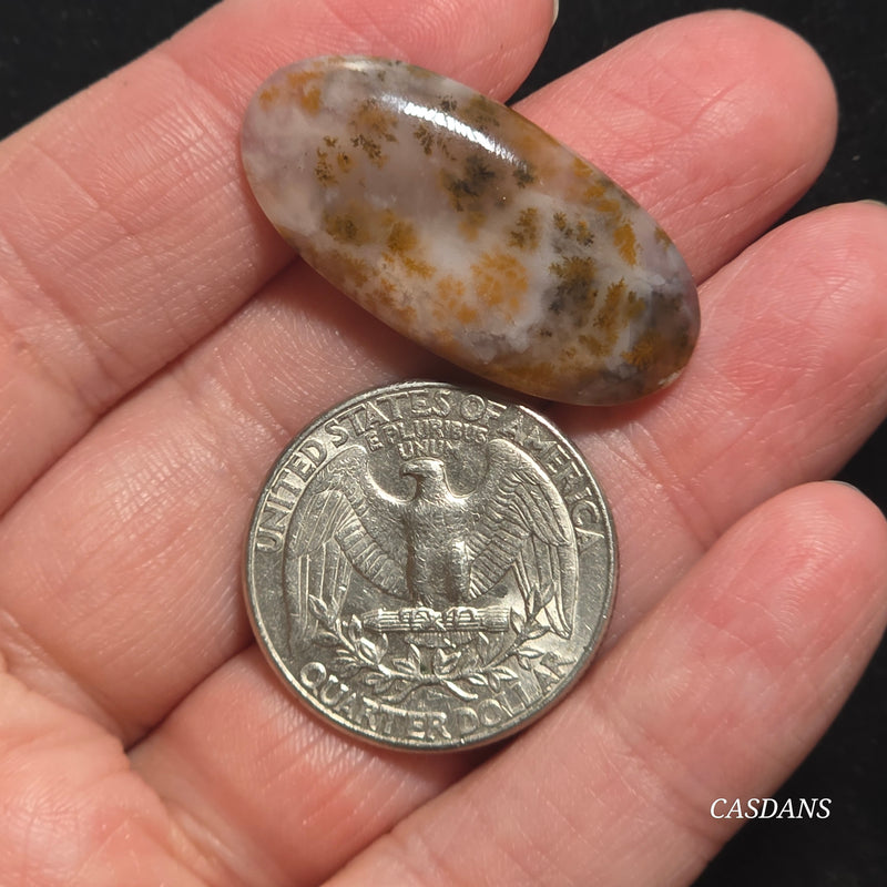 Russian Scenic Dendritic Agate Cabochon