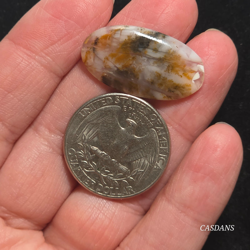 Russian Scenic Dendritic Agate Cabochon