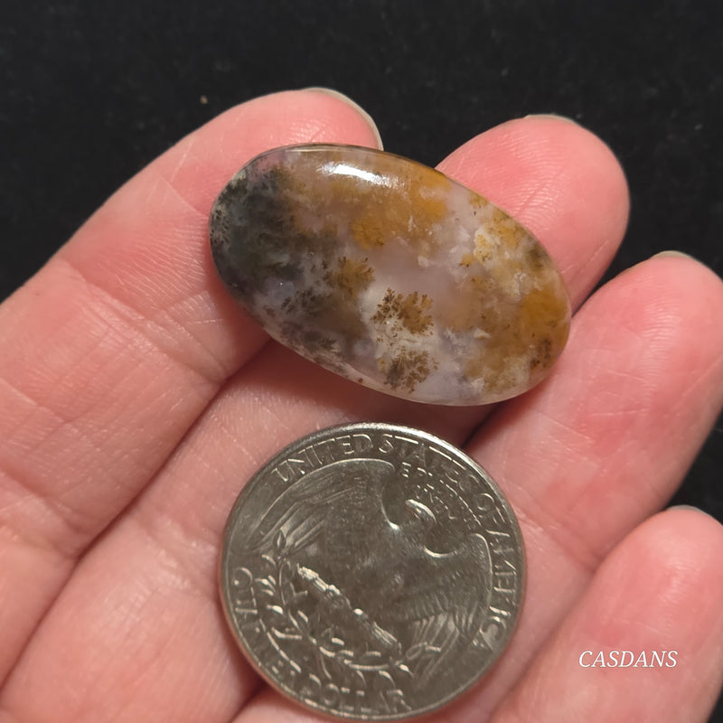 Russian Scenic Dendritic Agate Cabochon
