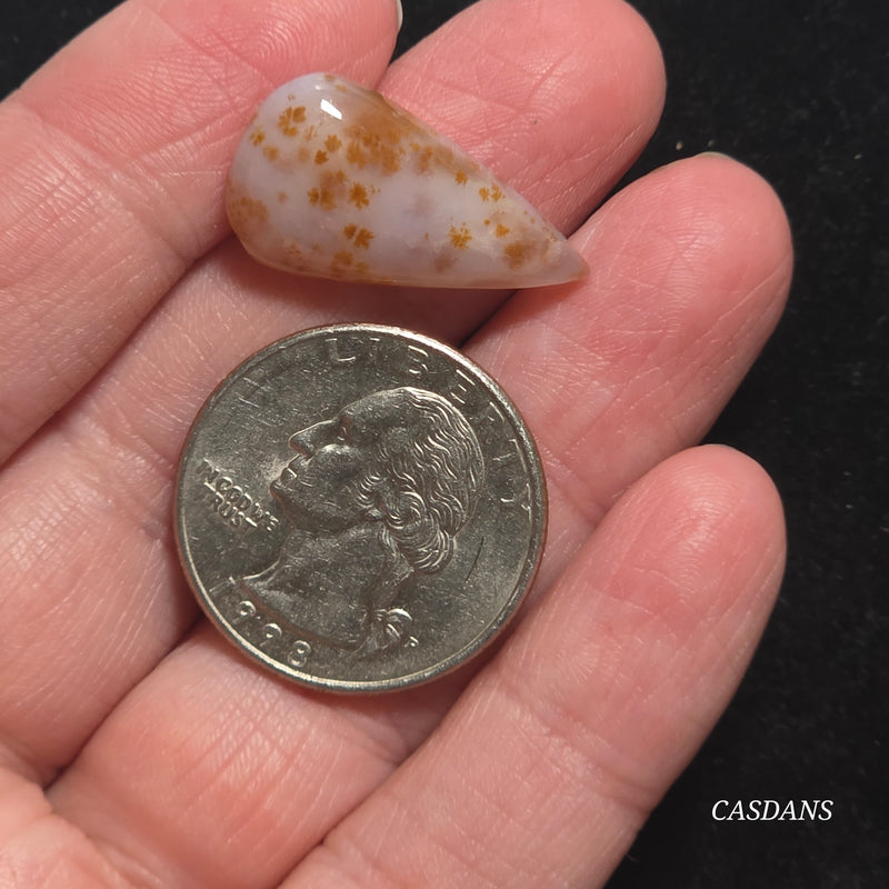 Russian Scenic Dendritic Agate Cabochon