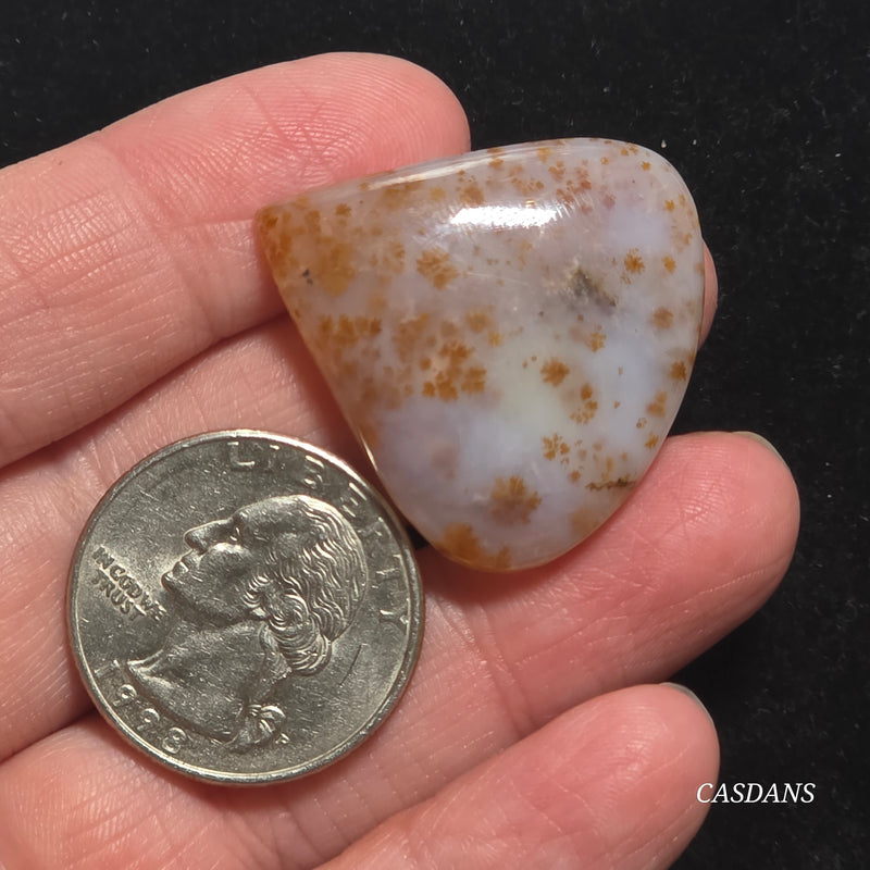 Russian Scenic Dendritic Agate Cabochon