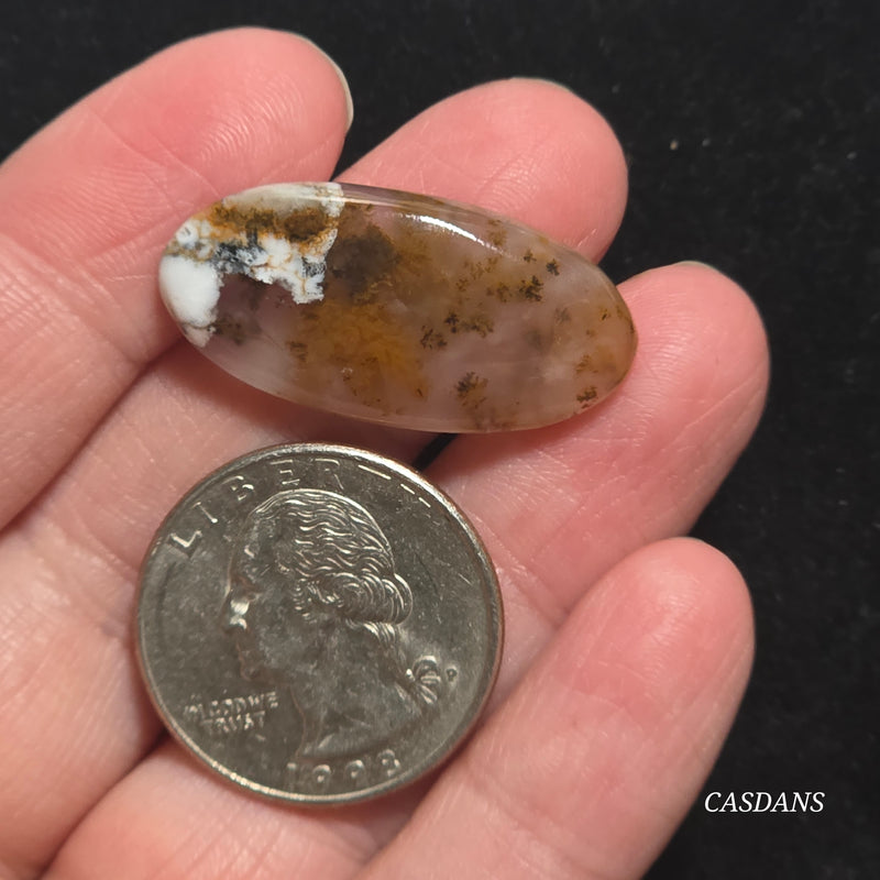 Russian Scenic Dendritic Agate Cabochon