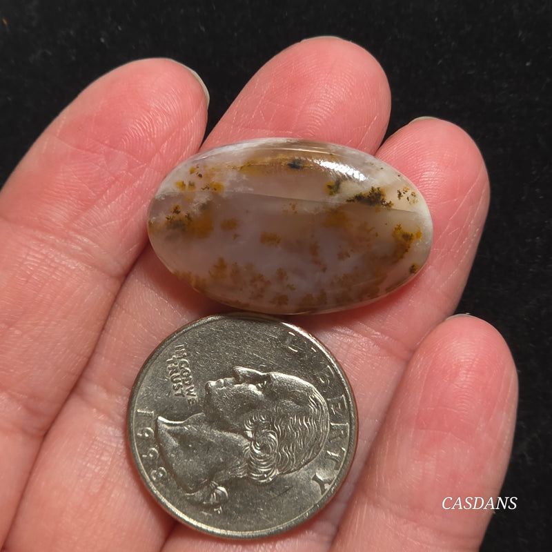 Russian Scenic Dendritic Agate Cabochon